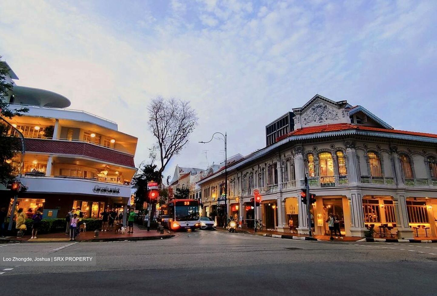 Lorong Stangee (D15), Terrace #499203591